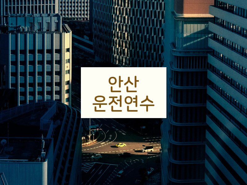 안산운전연수 후기