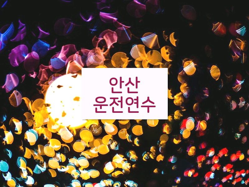 안산운전연수 후기
