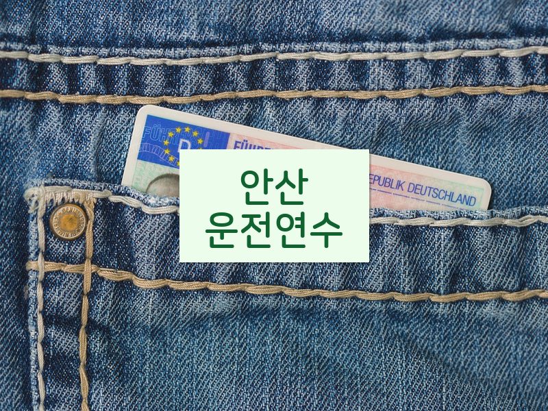 안산운전연수 후기