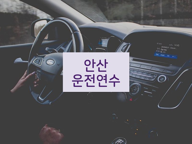 안산운전연수 후기