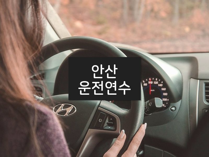안산운전연수 후기