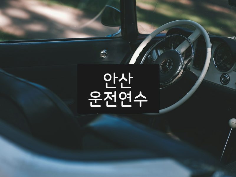 안산운전연수 후기