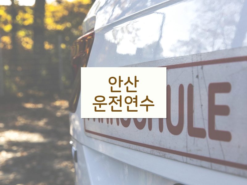 안산운전연수 후기