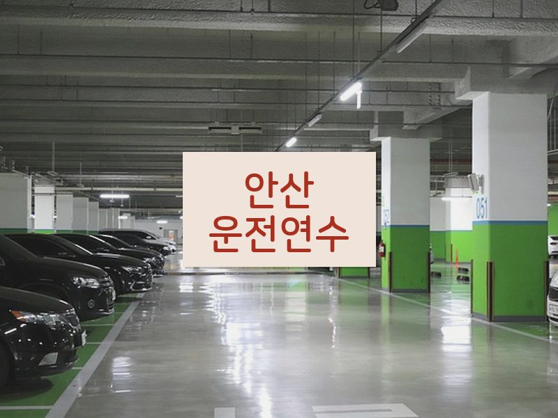 안산운전연수 후기