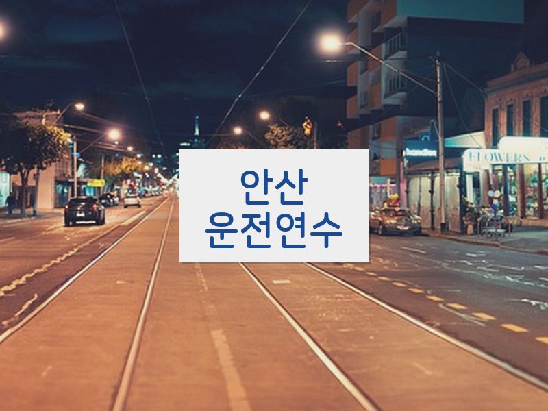 안산운전연수 후기