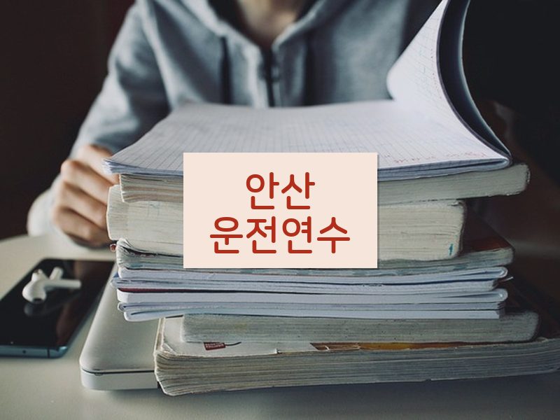 안산운전연수 후기