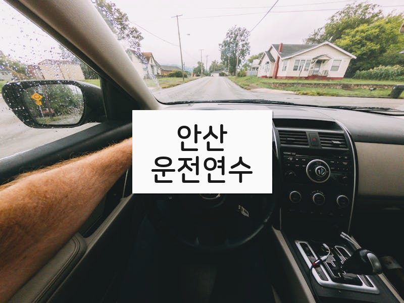 안산운전연수 후기