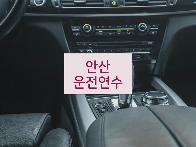 안산운전연수 후기