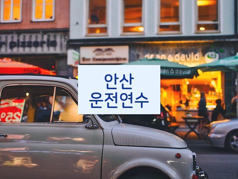 안산운전연수 후기
