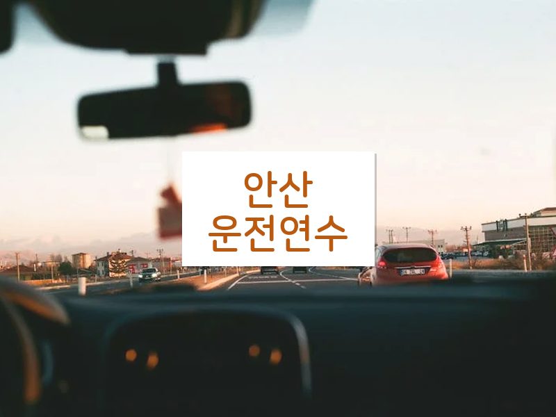 안산운전연수 후기