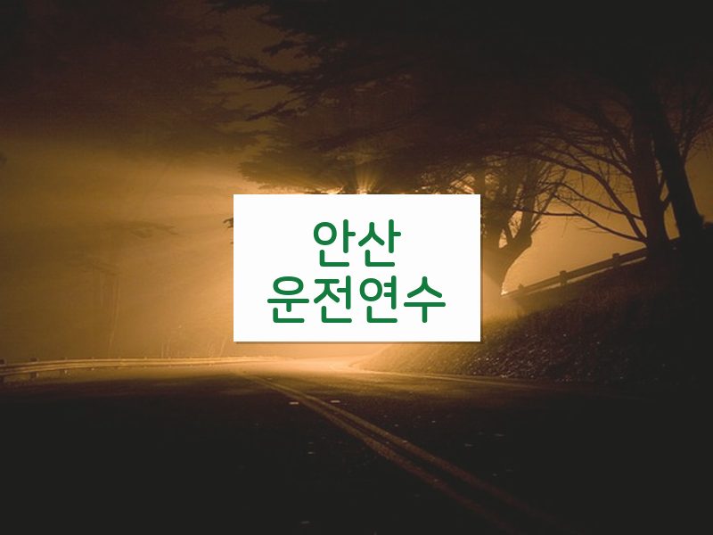 안산운전연수 후기