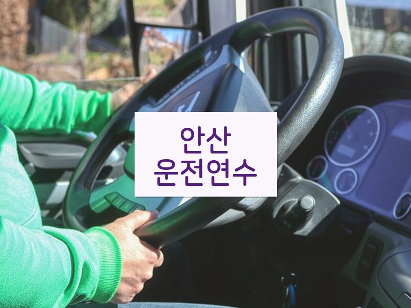 안산운전연수 후기