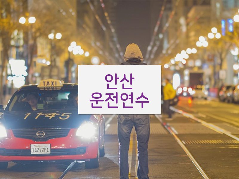 안산운전연수 후기