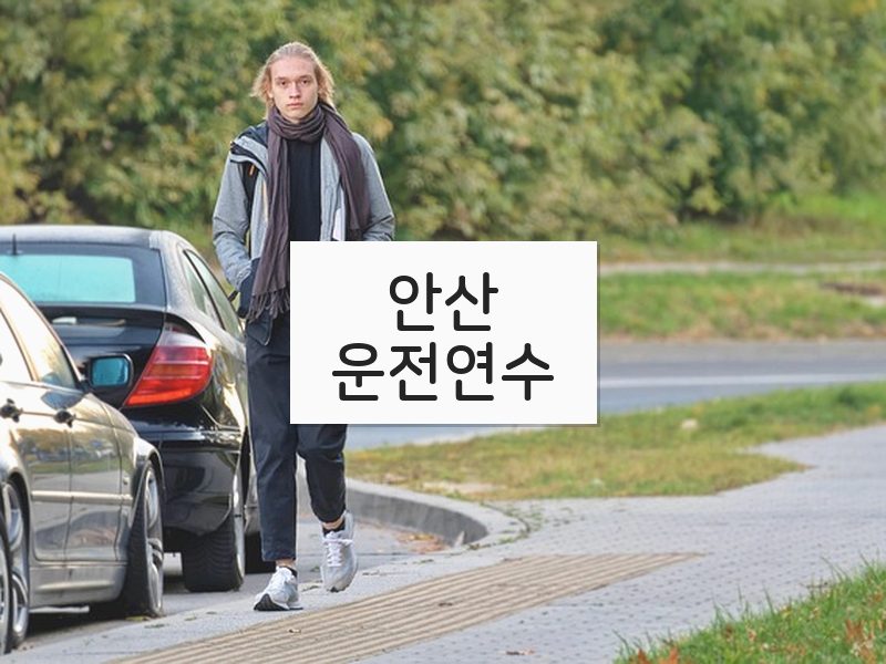 안산운전연수 후기