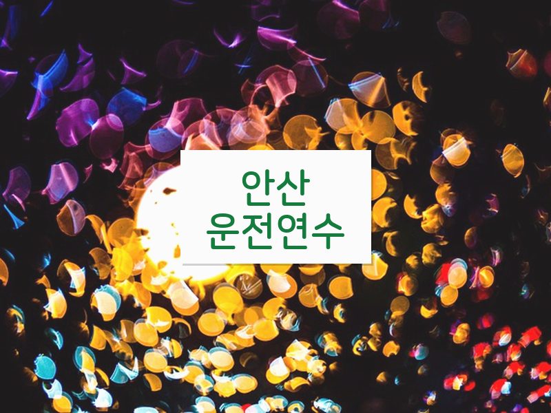 안산운전연수 후기