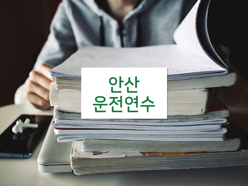 안산운전연수 후기