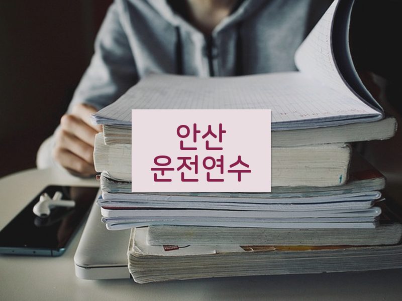 안산운전연수 후기