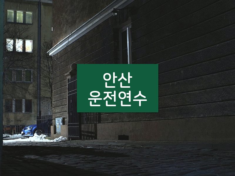 안산운전연수 후기