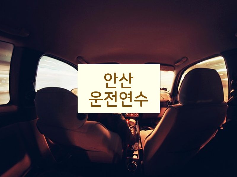 안산운전연수 후기