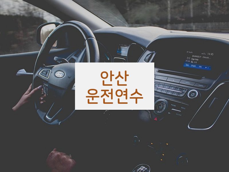안산운전연수 후기