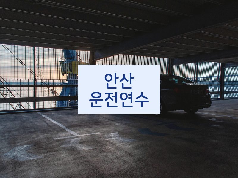 안산운전연수 후기