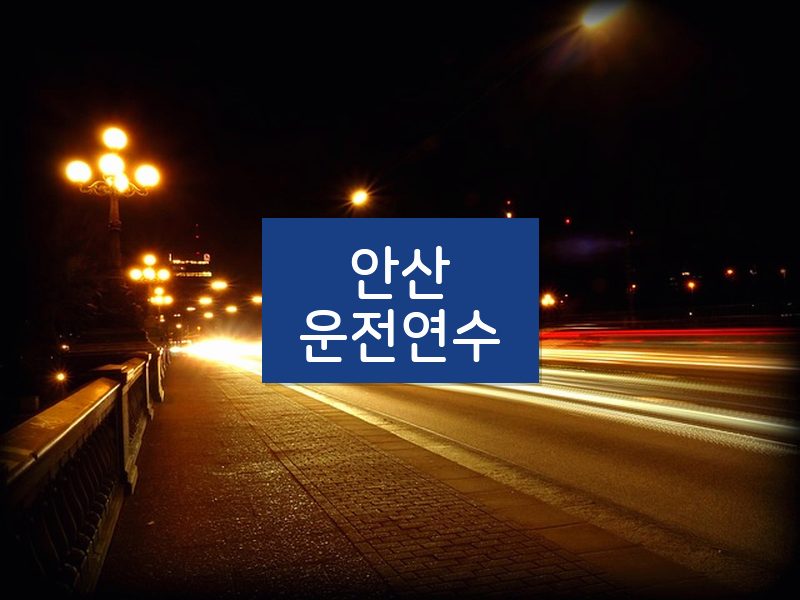 안산운전연수 후기