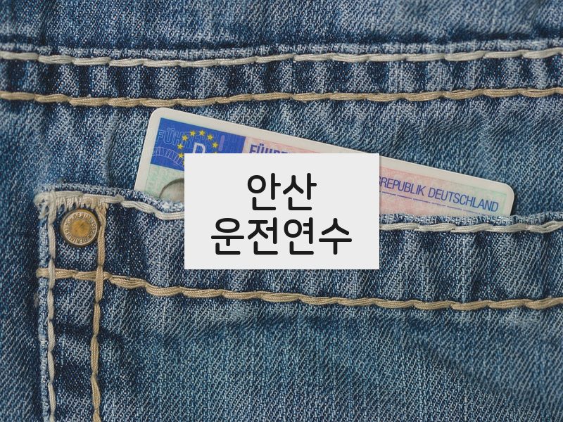 안산운전연수 후기