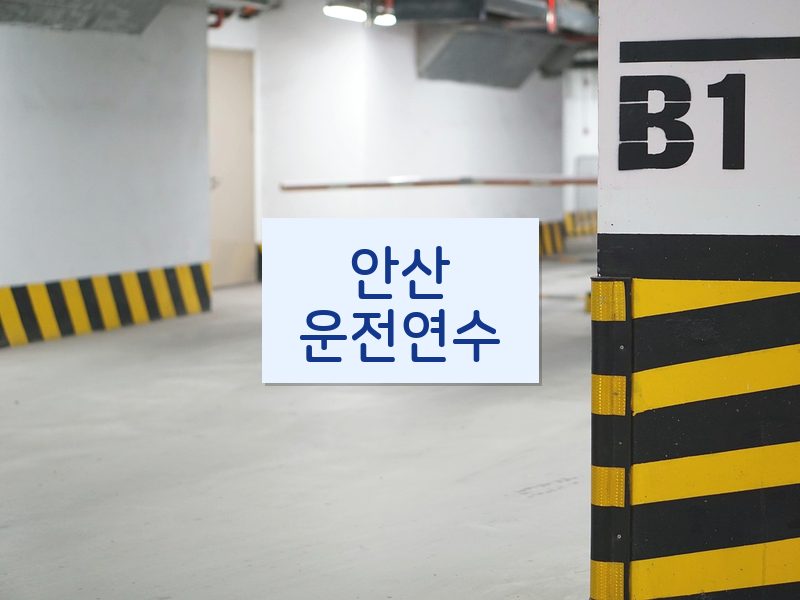 안산운전연수 후기