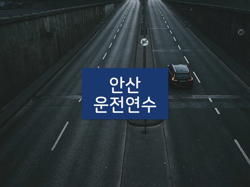 안산운전연수 후기