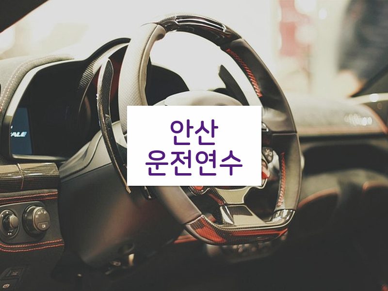 안산운전연수 후기