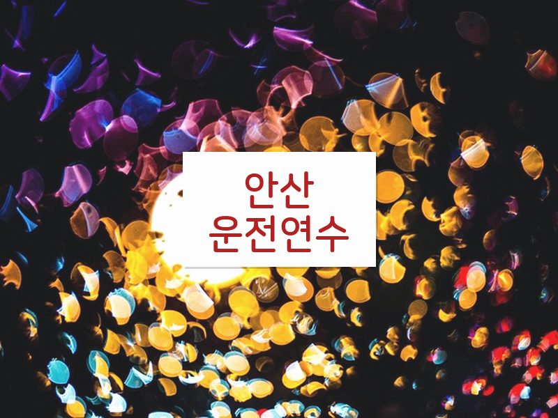 안산운전연수 후기