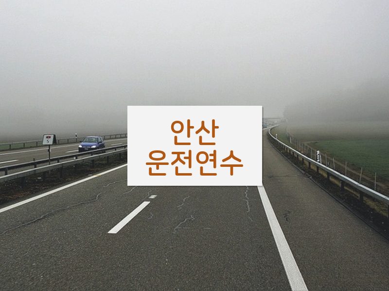 안산운전연수 후기