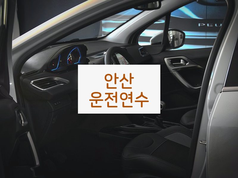안산운전연수 후기