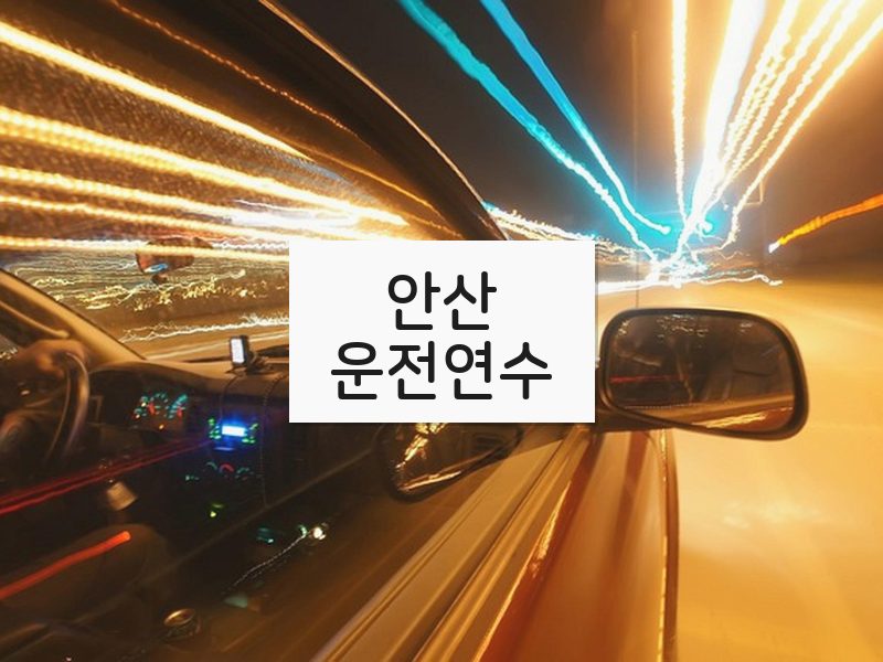 안산운전연수 후기