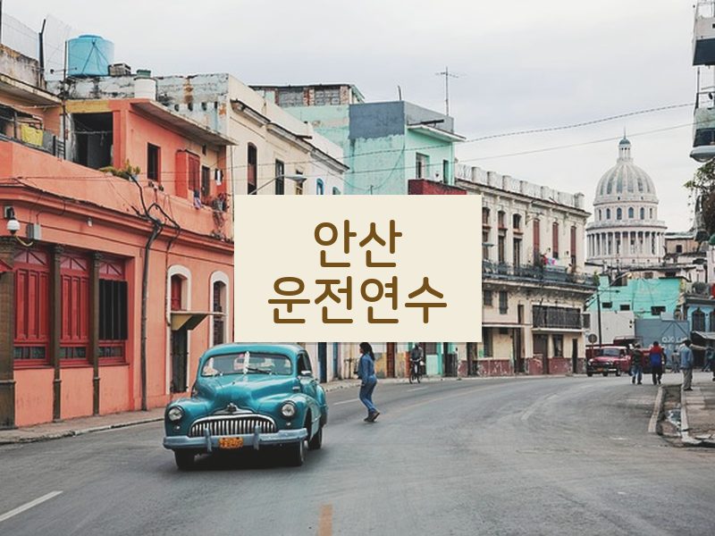 안산운전연수 후기