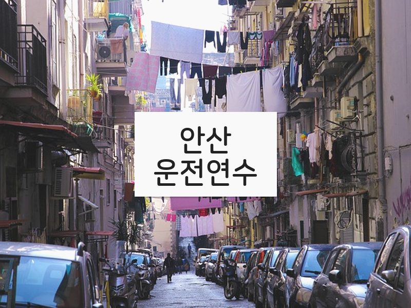 안산운전연수 후기