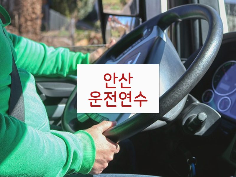 안산운전연수 후기