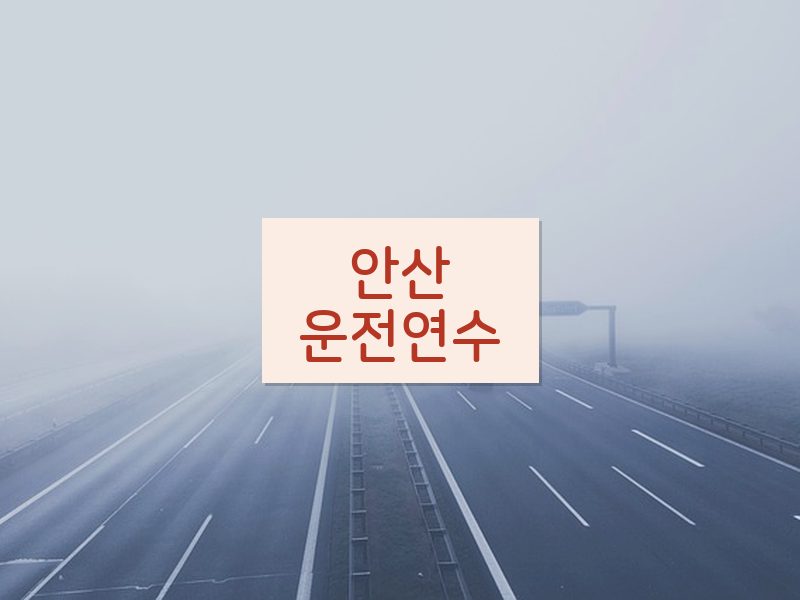 안산운전연수 후기