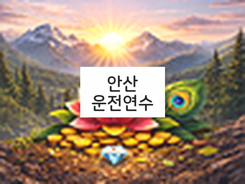 안산운전연수 후기