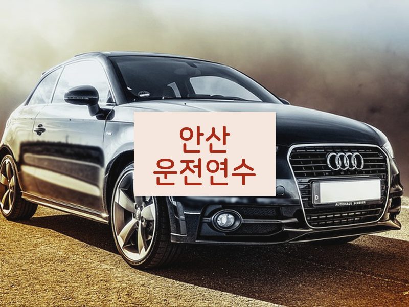 안산운전연수 후기