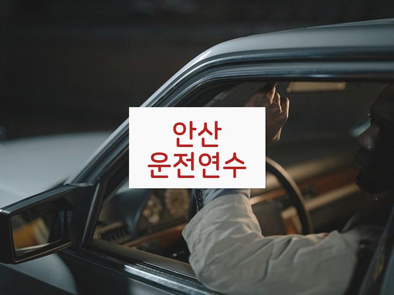 안산운전연수 후기