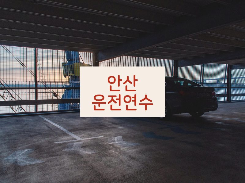 안산운전연수 후기