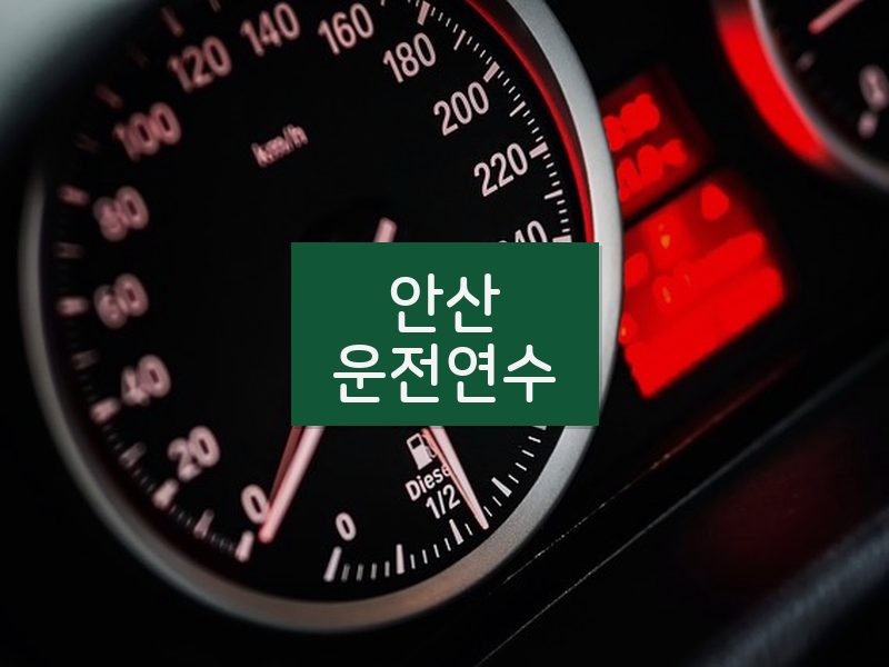 안산운전연수 후기