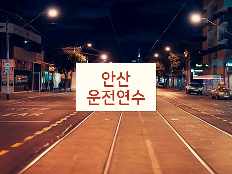 안산운전연수 후기