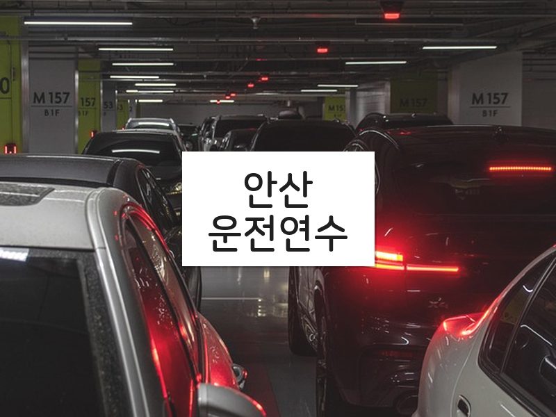 안산운전연수 후기