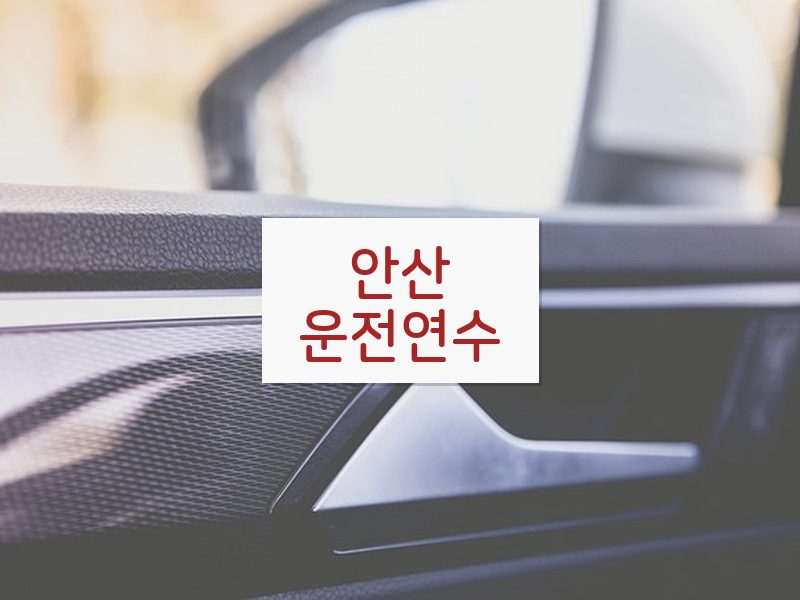 안산운전연수 후기