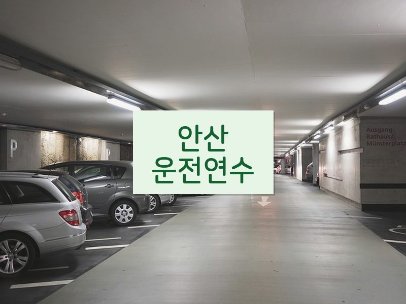 안산운전연수 후기