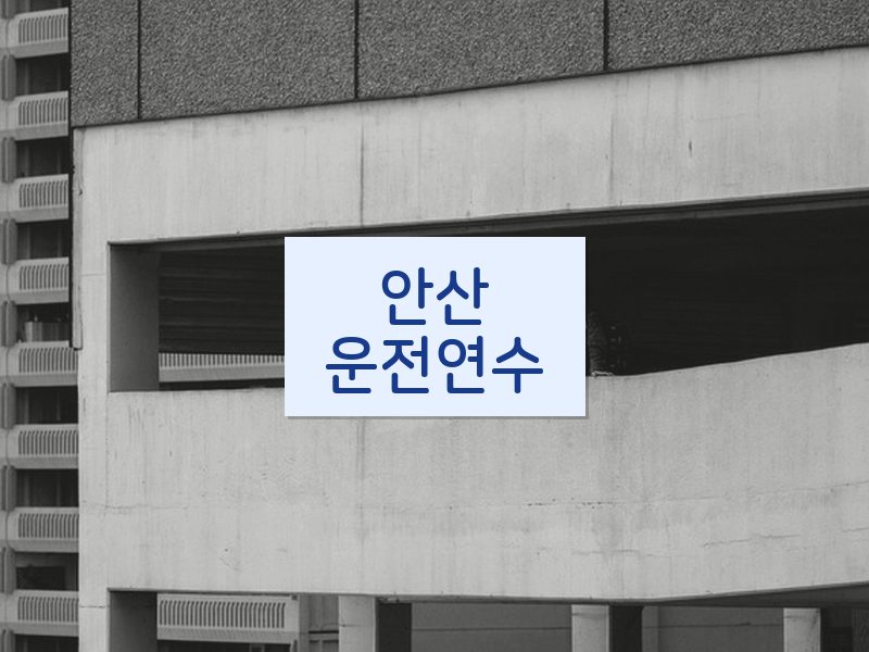 안산운전연수 후기