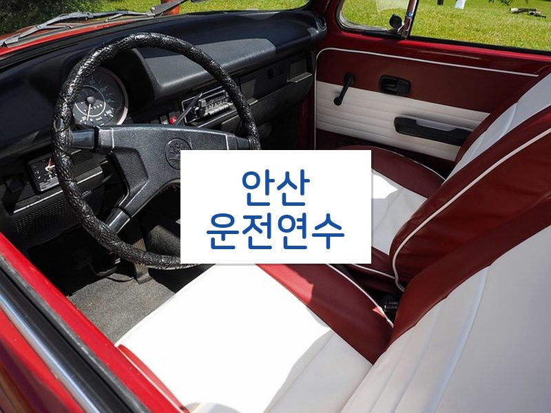 안산운전연수 후기