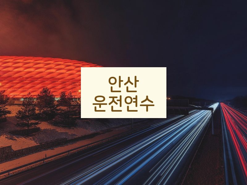 안산운전연수 후기